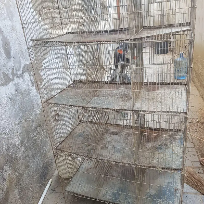 12 portion cage good condition urgent for sale — photo 2