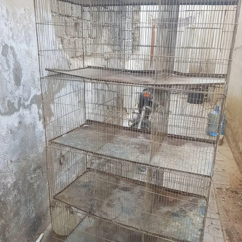 12 portion cage good condition urgent for sale — photo 3