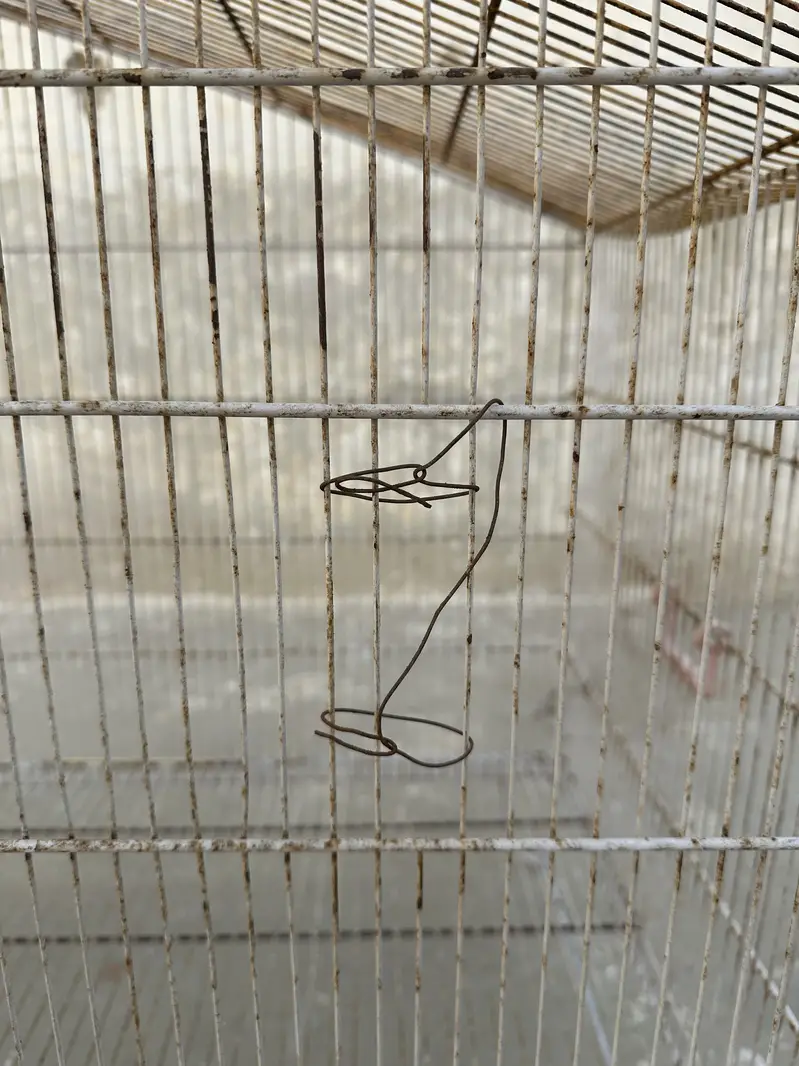 3 x 2.5 feet hut type cage for birds and pet — photo 3