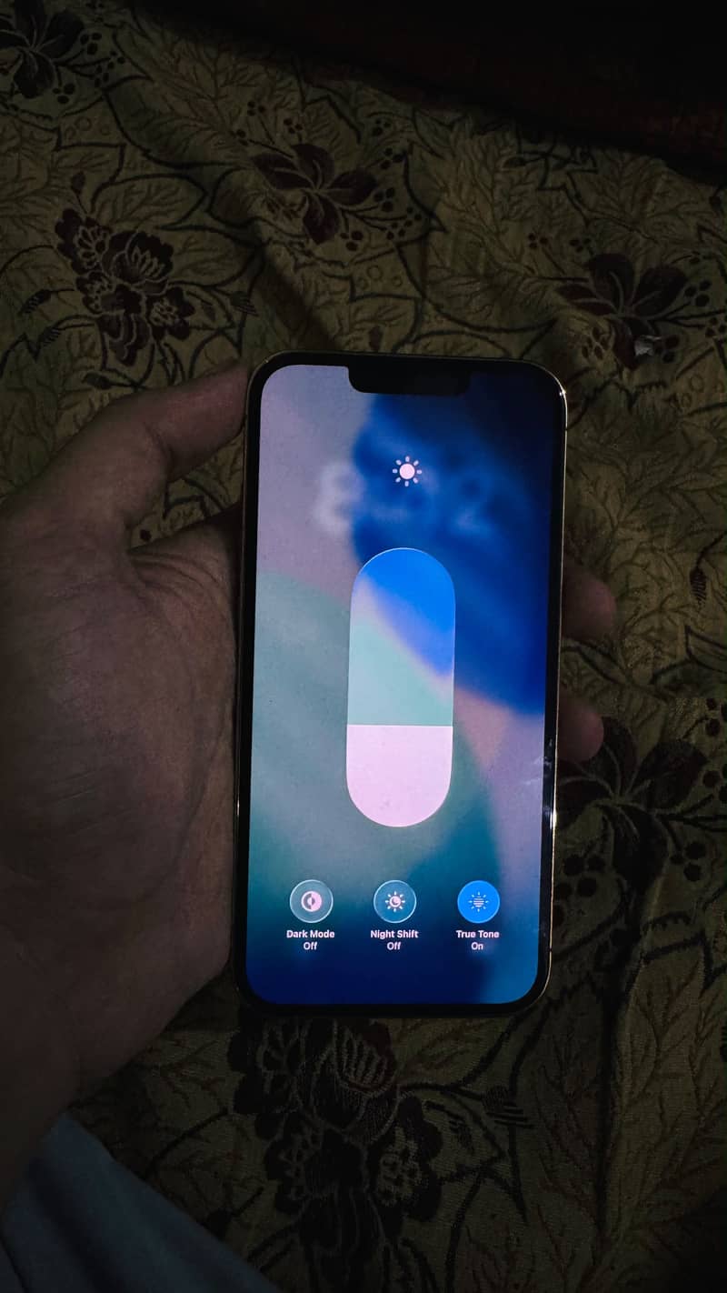 Apple iPhone 13 Pro 1