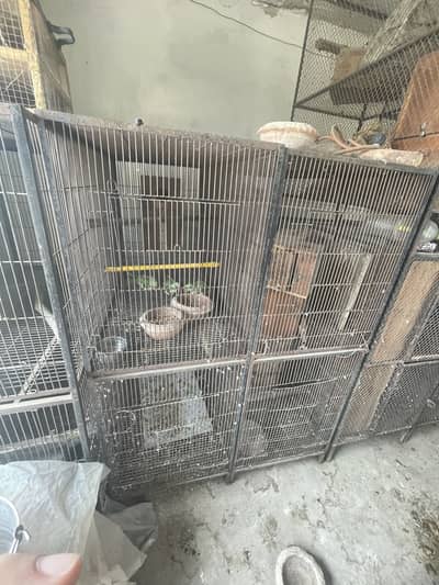 BIRDS CAGES | IRON CAGES | CAGES IN LAHORE | پِنجرا/Pinjara