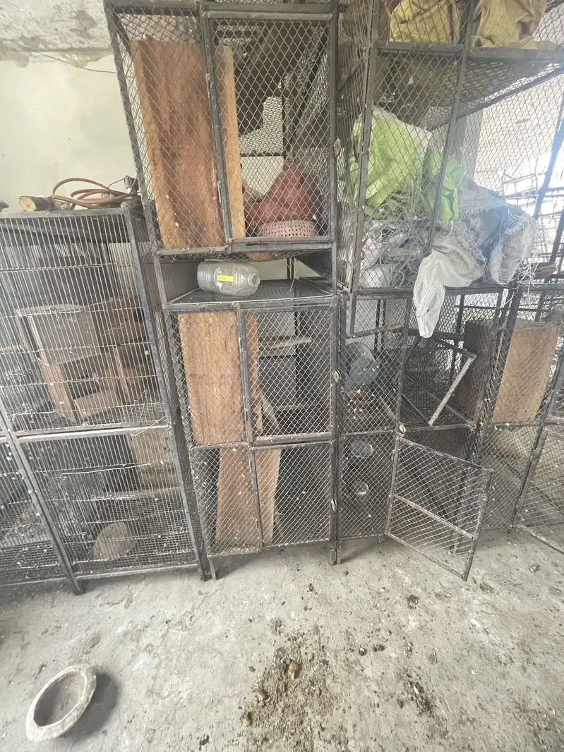 BIRDS CAGES | IRON CAGES | CAGES IN LAHORE | پِنجرا/Pinjara — photo 8