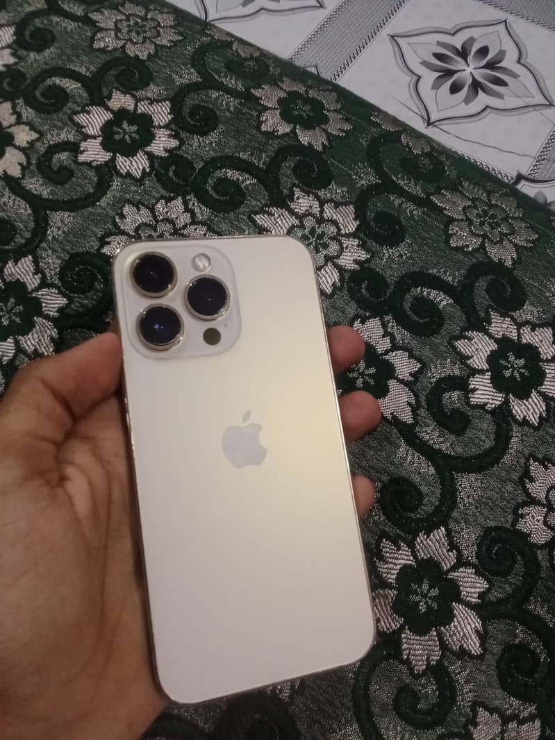 Apple iPhone 13 Pro 0
