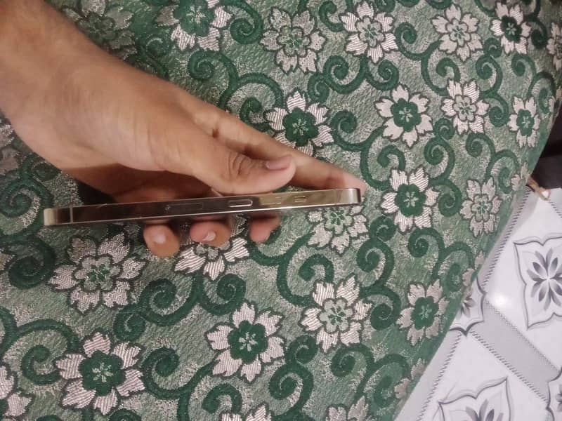 Apple iPhone 13 Pro 2