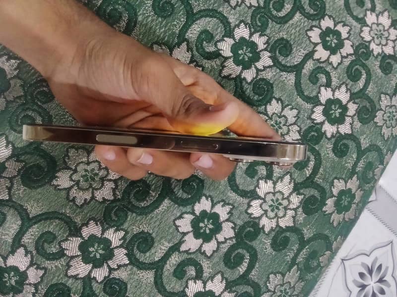 Apple iPhone 13 Pro 3