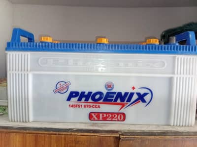 phoenix Xp220 23 plates/cell