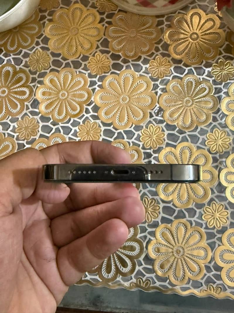 Apple iPhone 13 Pro Max 3