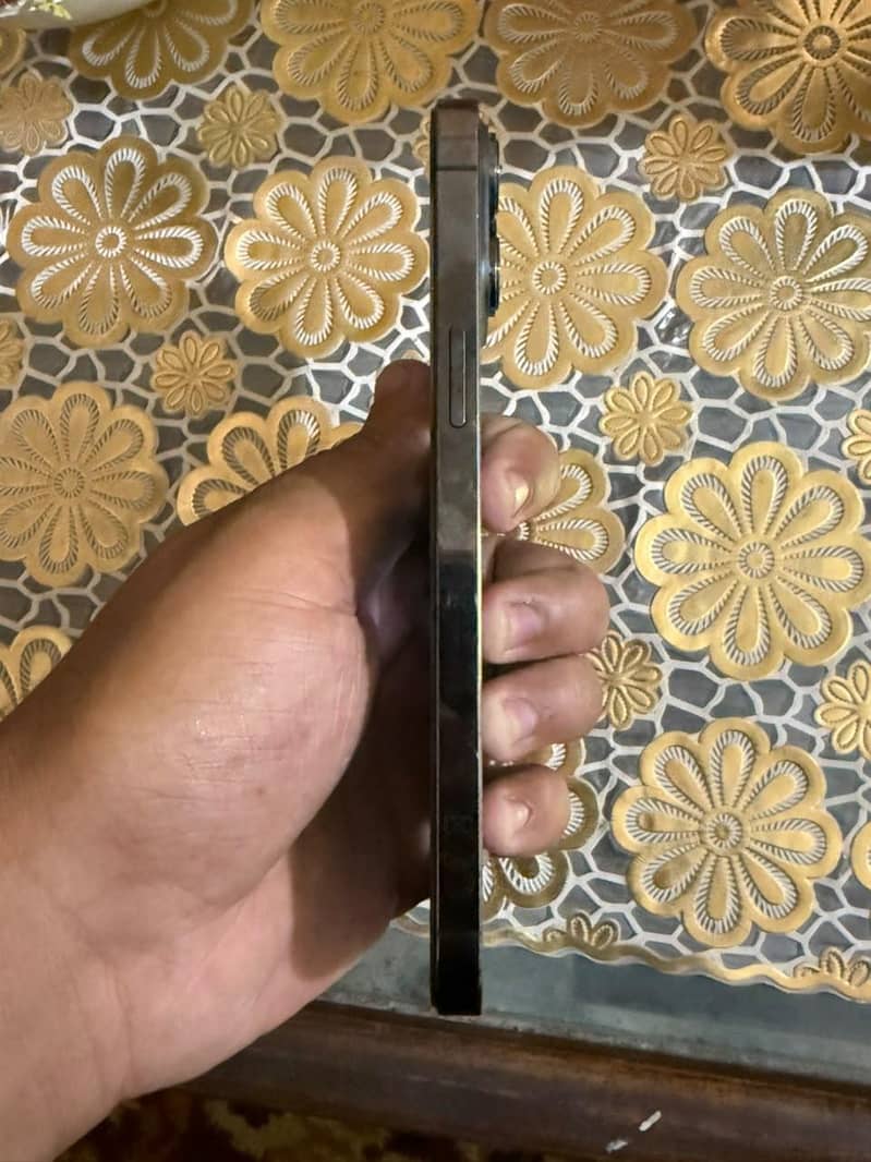 Apple iPhone 13 Pro Max 5