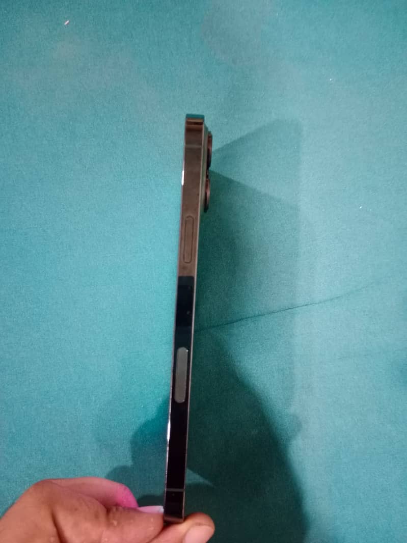 Apple iPhone 13 Pro Max 1