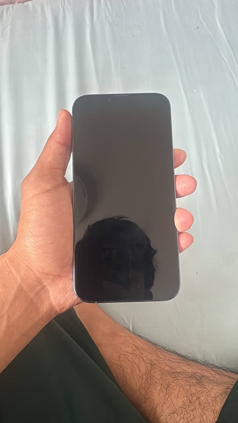 Apple iPhone 13 Pro Max 2