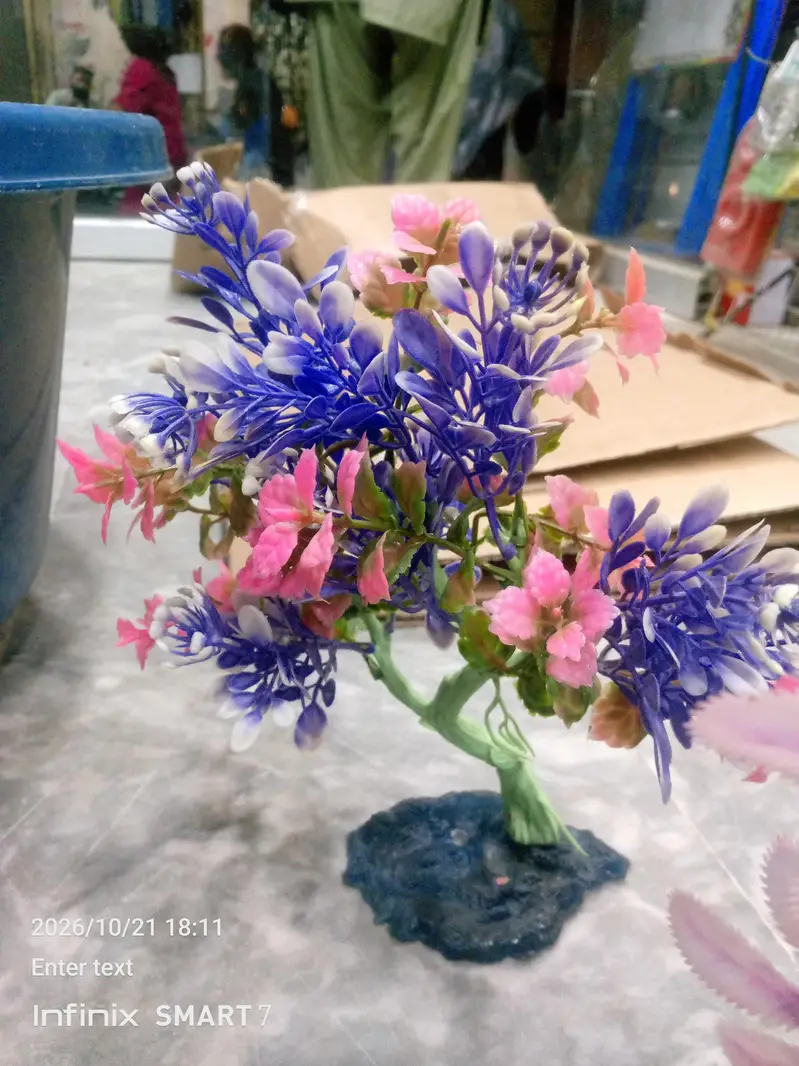 fish aquarium plants
