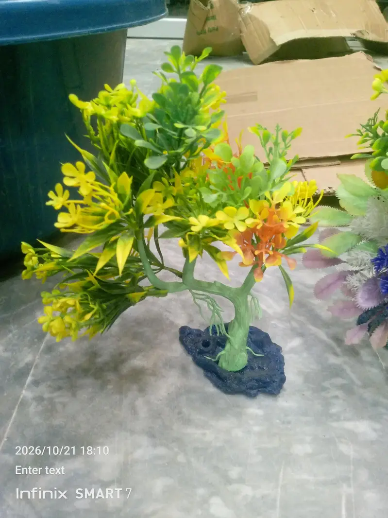 fish aquarium plants — photo 2