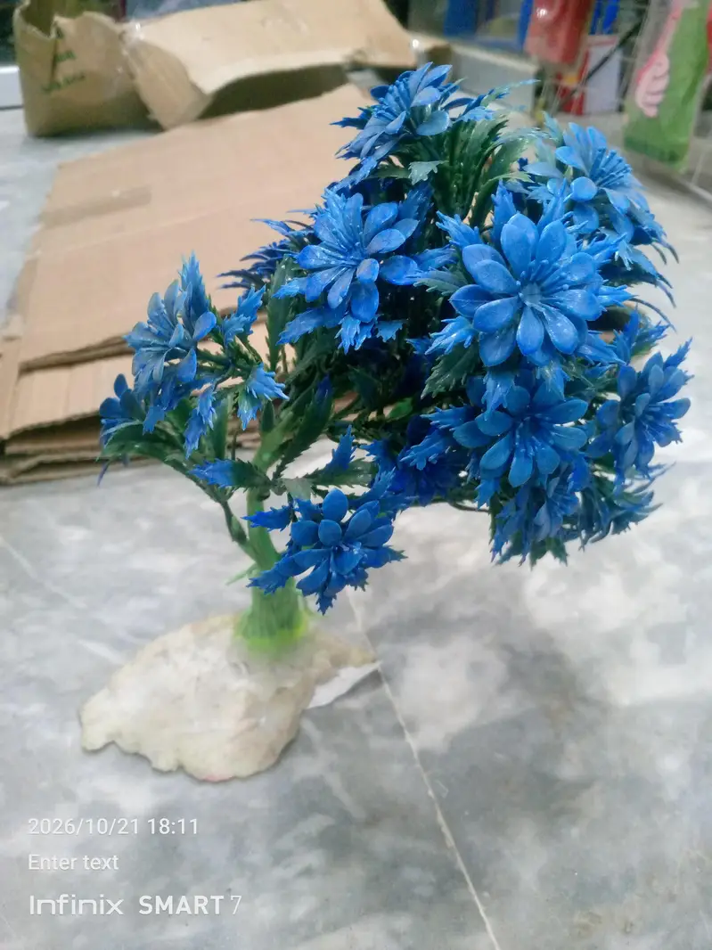 fish aquarium plants — photo 4