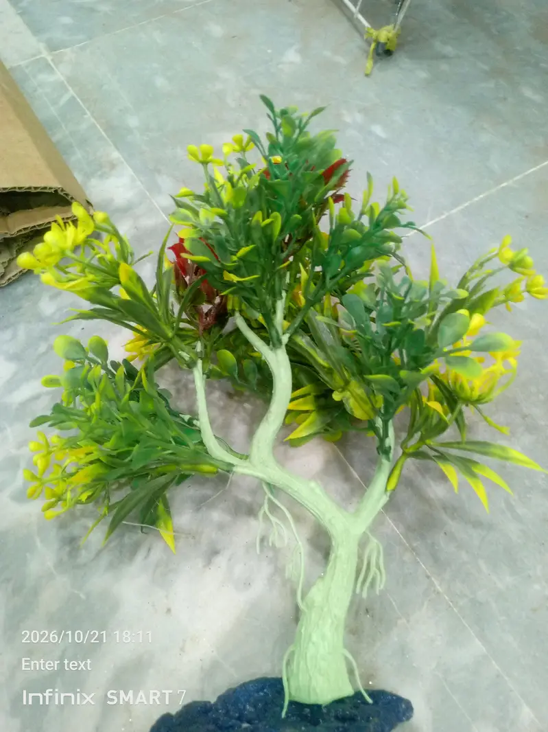 fish aquarium plants — photo 5