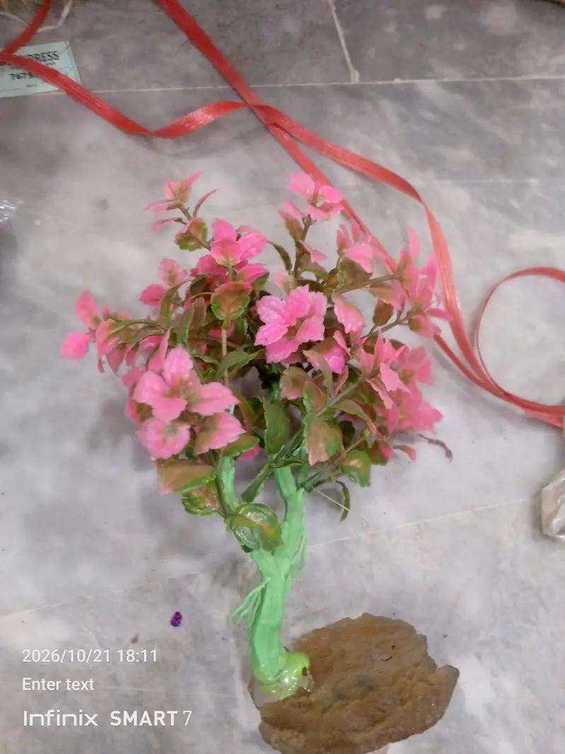 fish aquarium plants — photo 7