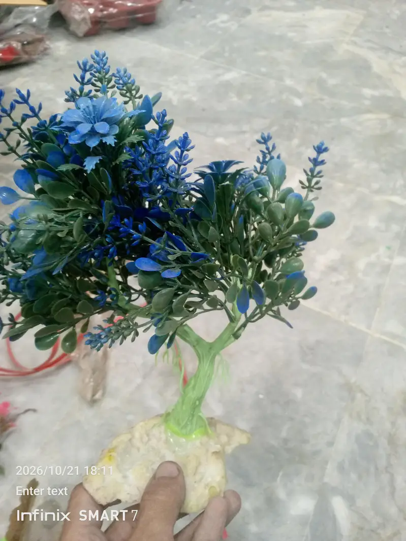 fish aquarium plants — photo 8