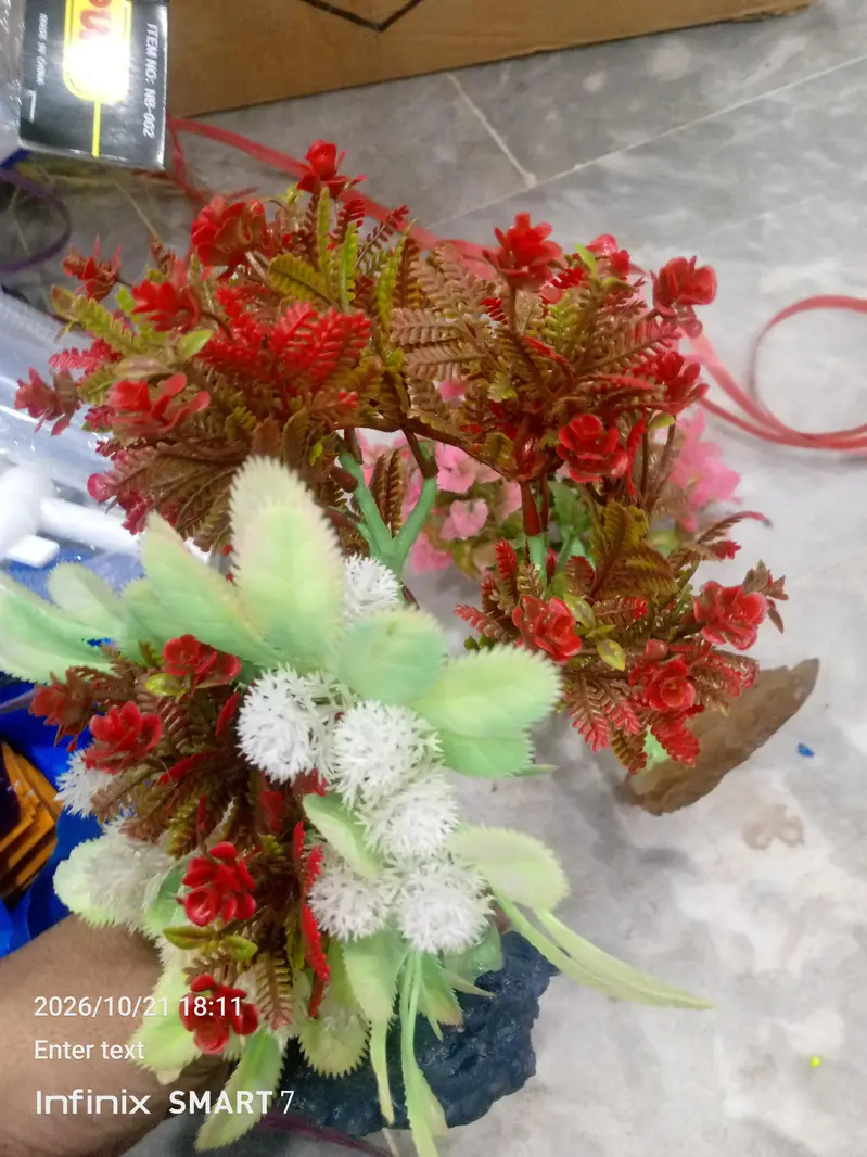 fish aquarium plants — photo 9