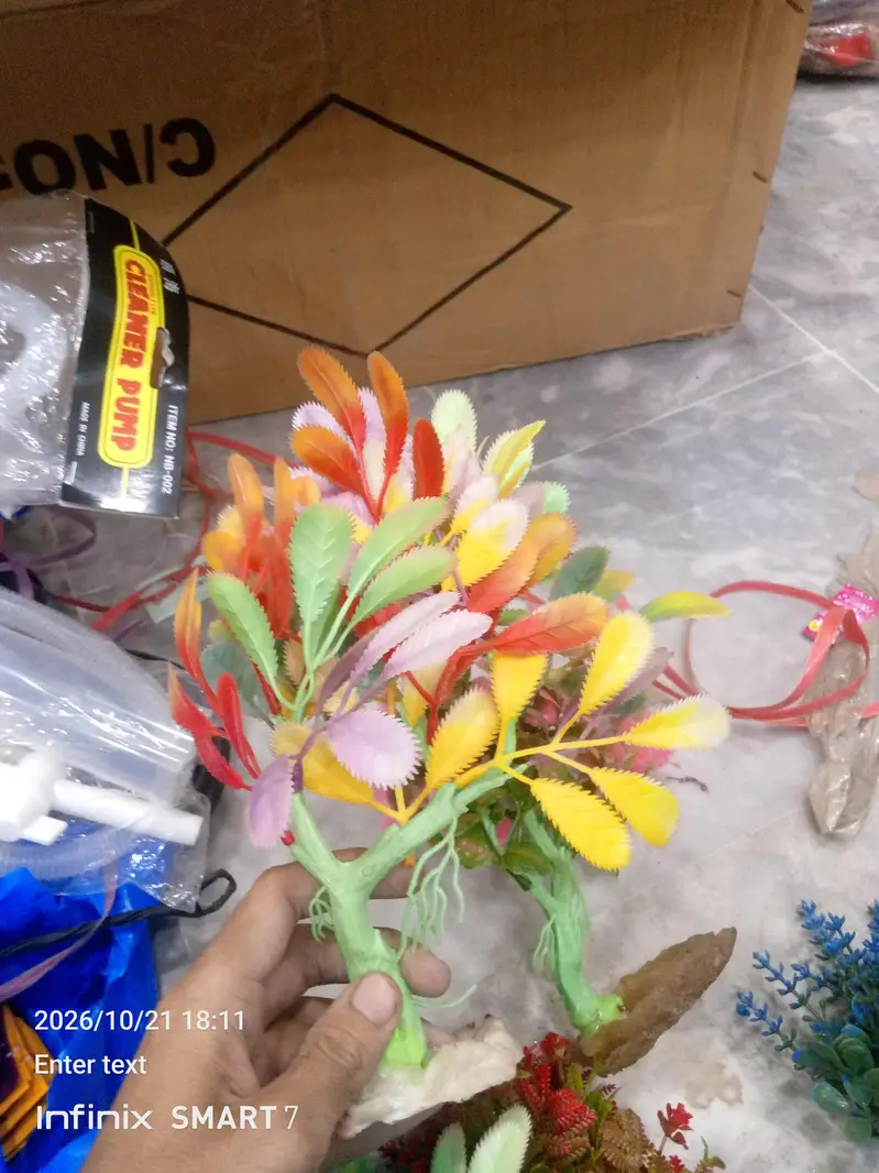 fish aquarium plants — photo 10