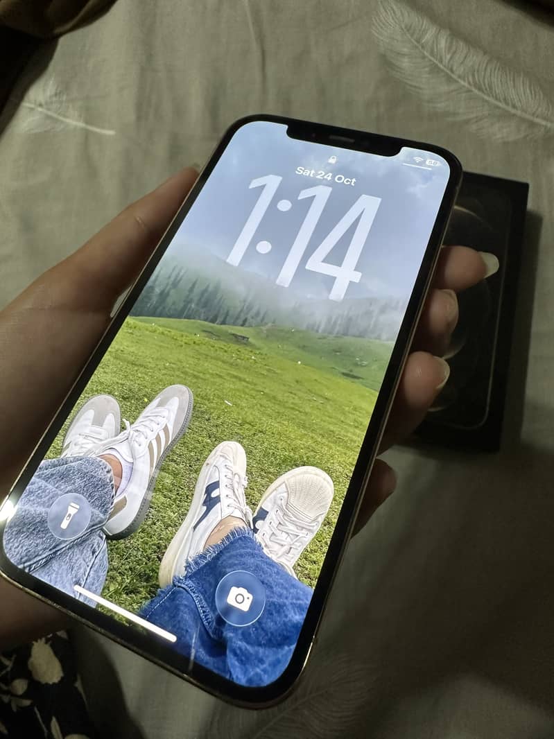 Apple iPhone 12 Pro 1