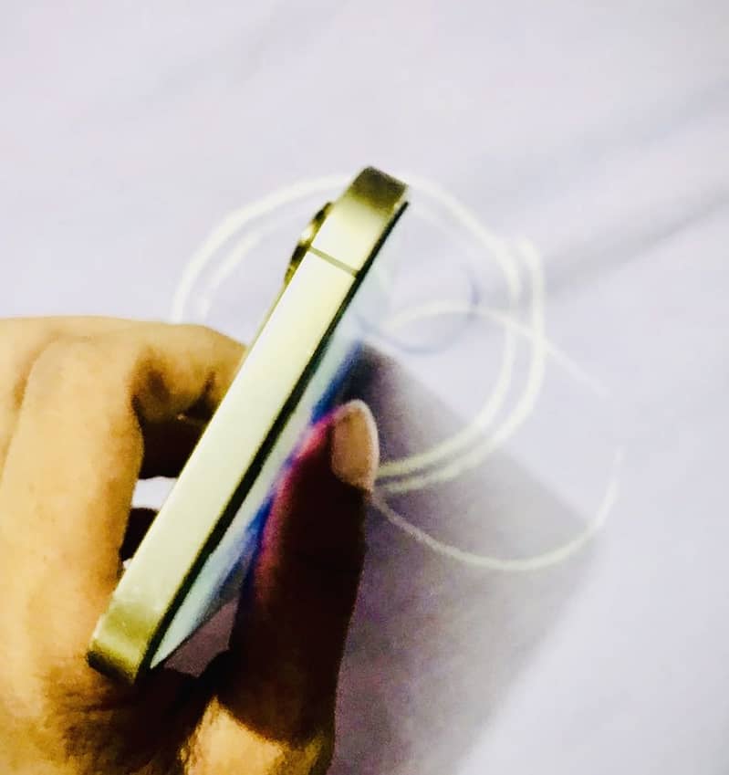 Apple iPhone 12 Pro Max 1