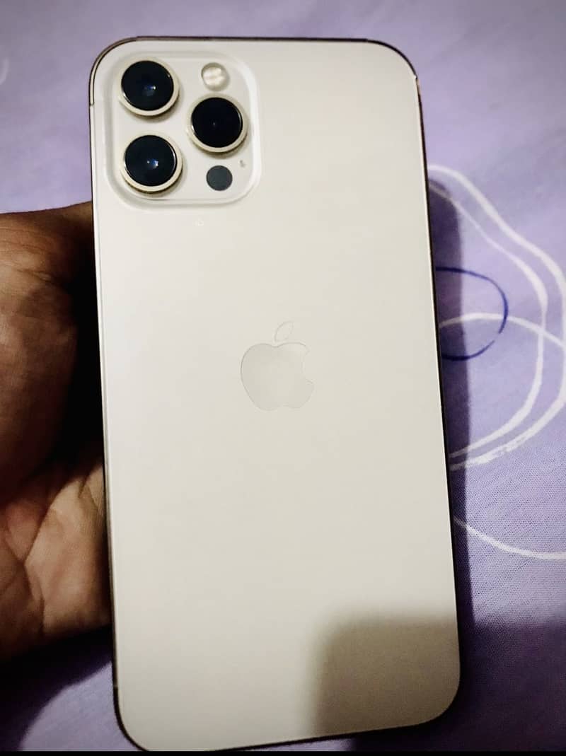 Apple iPhone 12 Pro Max 2