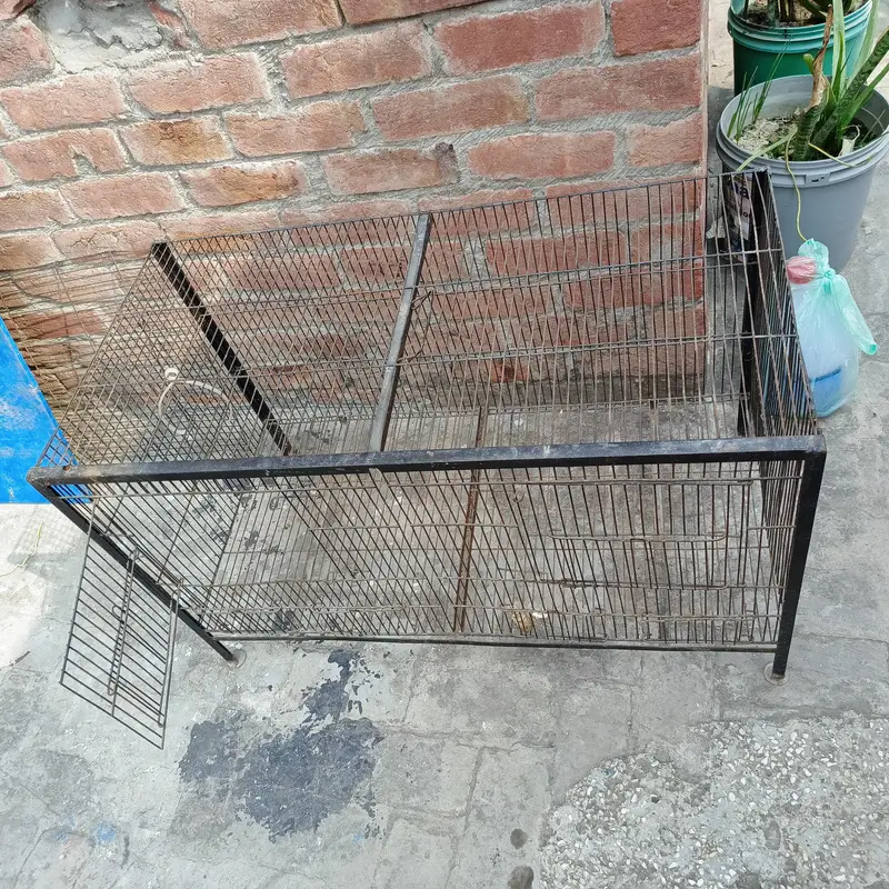 Large Iron Pet Cage for Parrots, Cats & Small Dogs — photo 2
