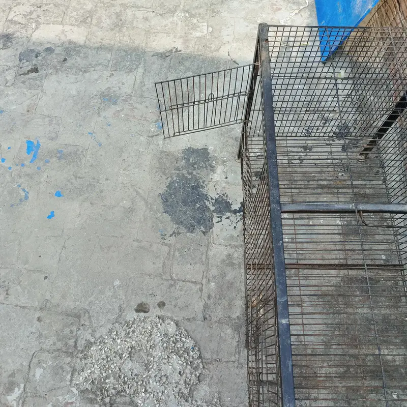 Large Iron Pet Cage for Parrots, Cats & Small Dogs — photo 3