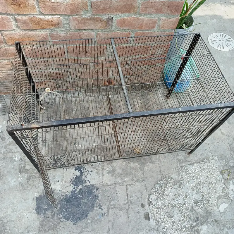 Large Iron Pet Cage for Parrots, Cats & Small Dogs — photo 4