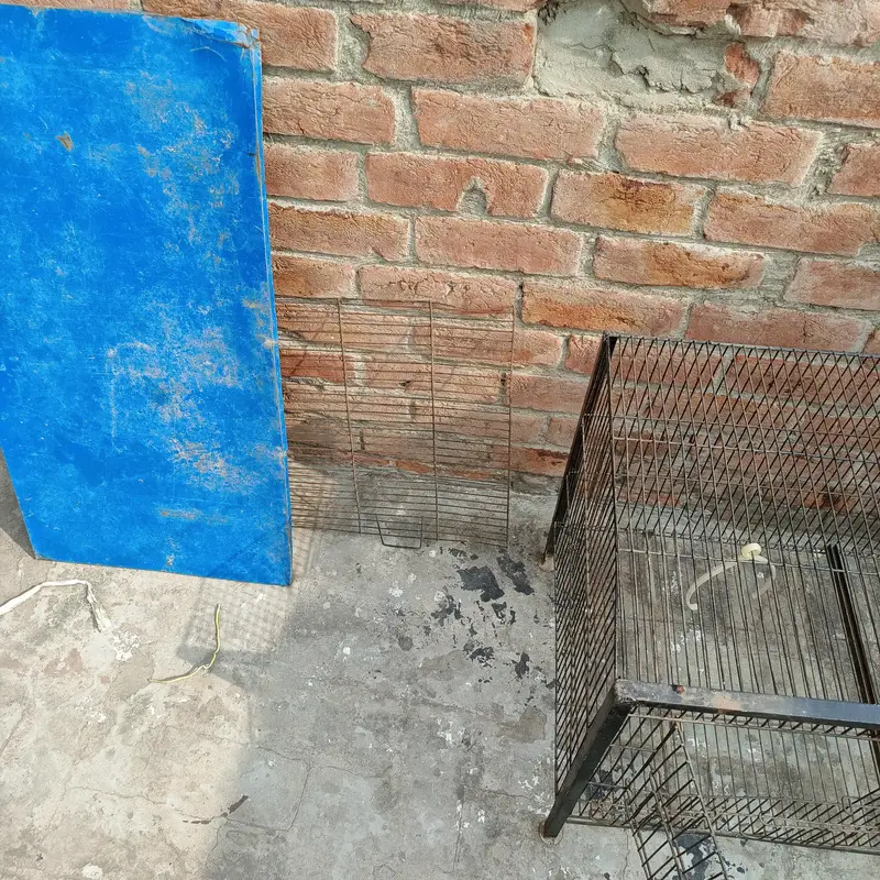 Large Iron Pet Cage for Parrots, Cats & Small Dogs — photo 5
