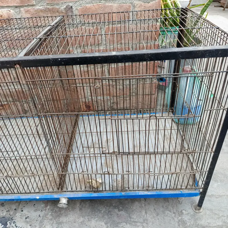 Large Iron Pet Cage for Parrots, Cats & Small Dogs — photo 7