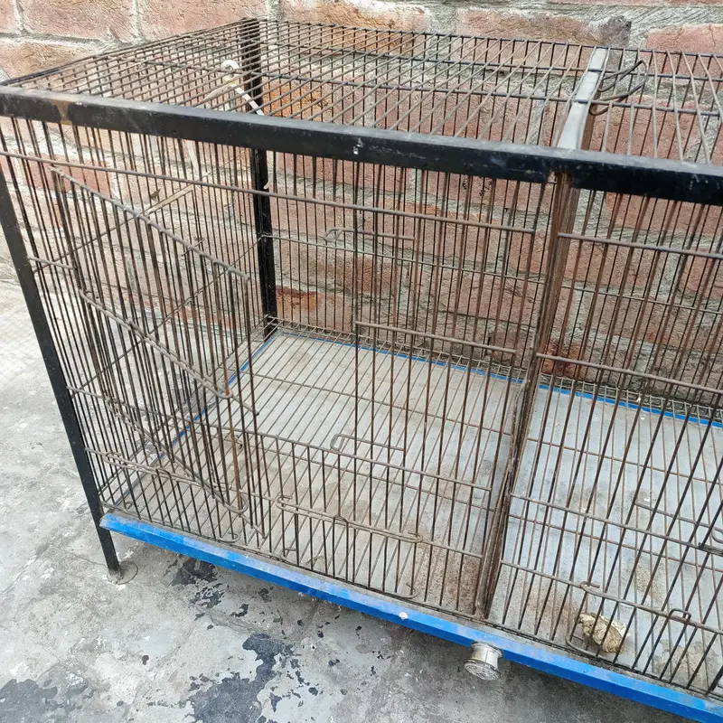 Large Iron Pet Cage for Parrots, Cats & Small Dogs — photo 8