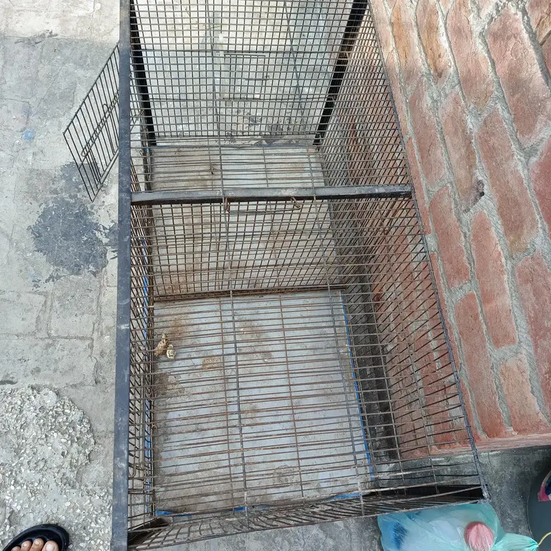 Large Iron Pet Cage for Parrots, Cats & Small Dogs — photo 9
