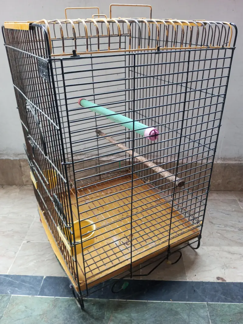 Cage for Raw Parrot — photo 2
