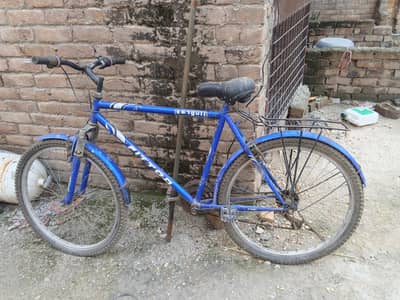 cycle Sports