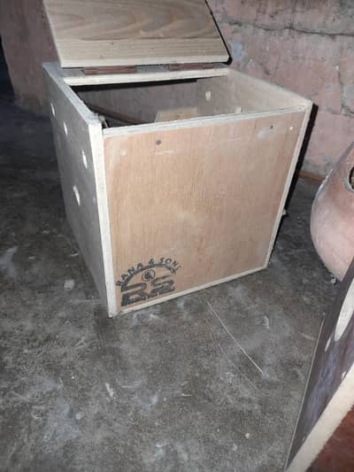 java love bird finches box available for sale