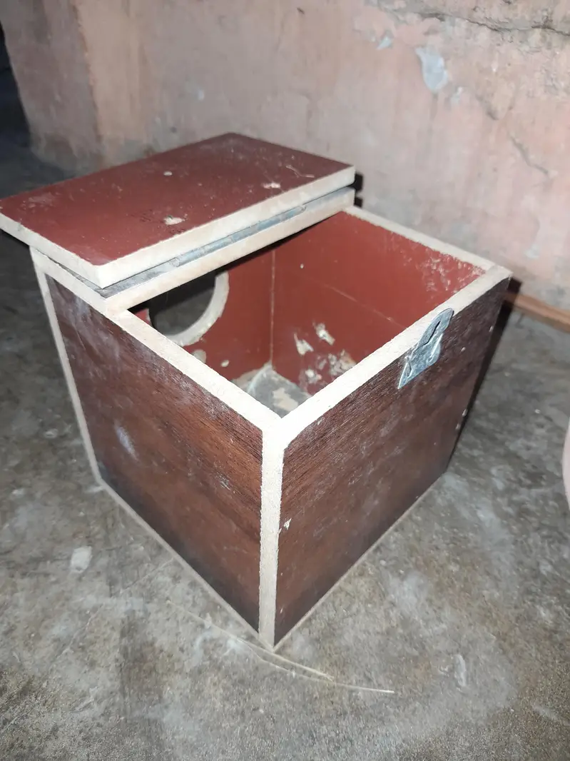 java love bird finches box available for sale — photo 3