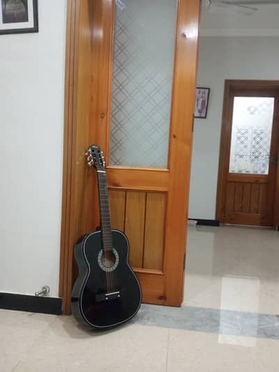 Karok Acoustic Guitar