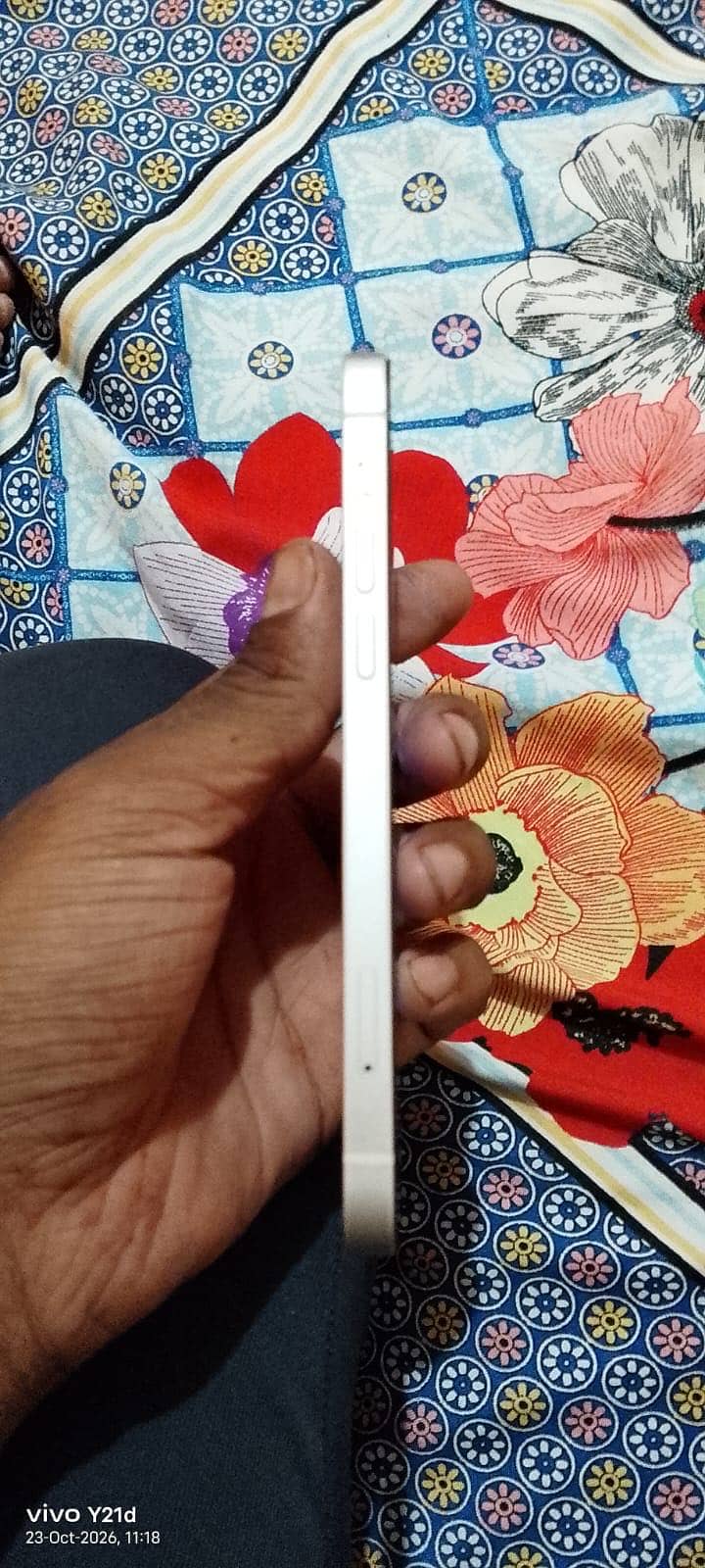 Apple iPhone 12 1