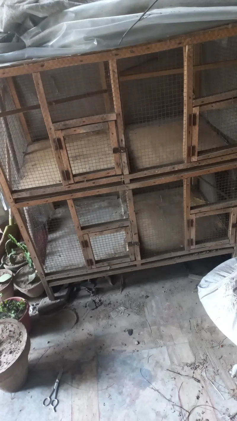 Cage avaliable almost new condition 4 partitions 3×3×2 — photo 2