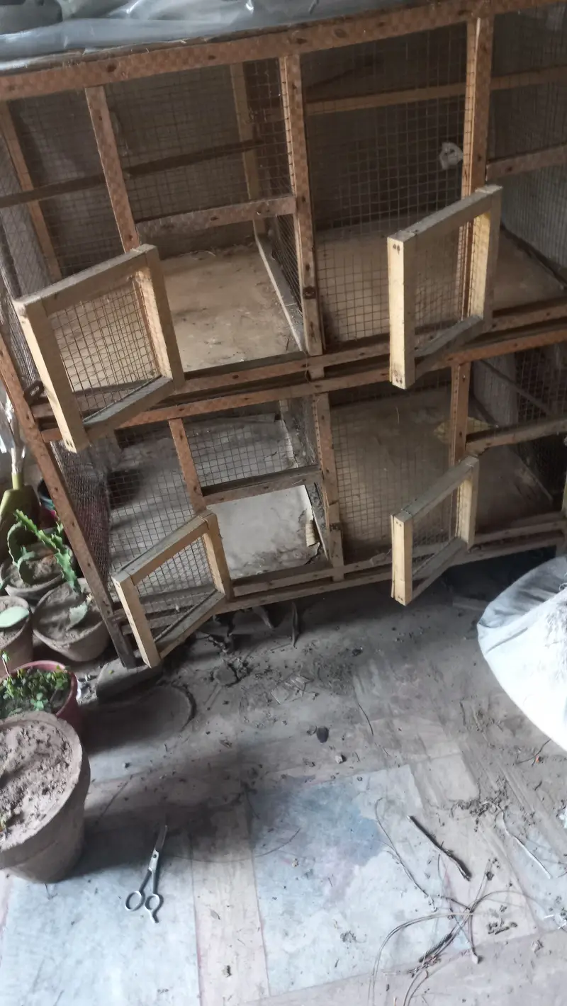 Cage avaliable almost new condition 4 partitions 3×3×2 — photo 3
