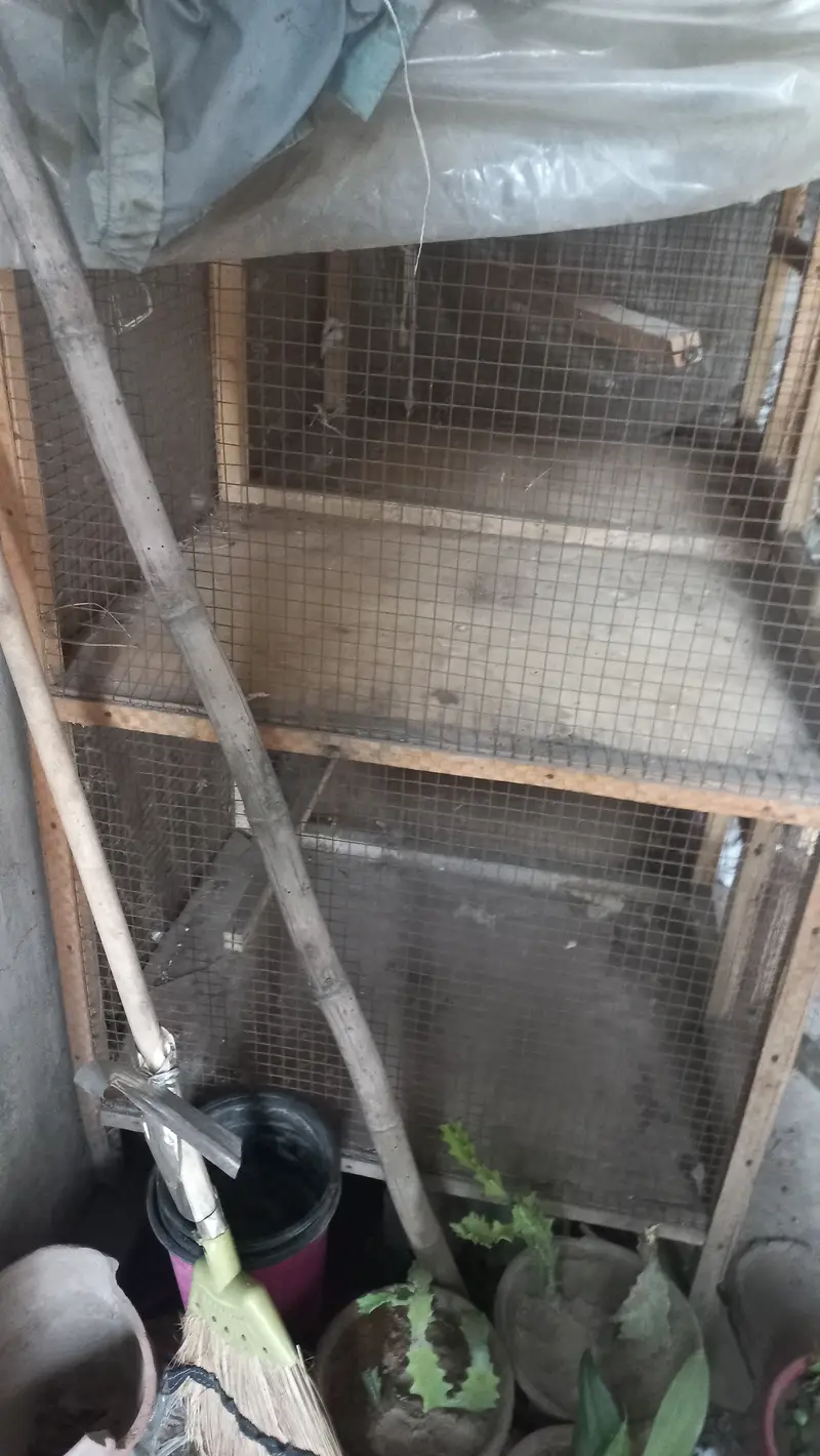 Cage avaliable almost new condition 4 partitions 3×3×2 — photo 4