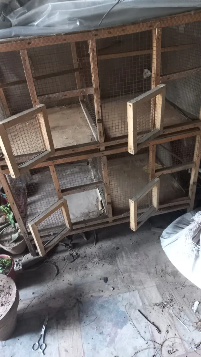 Cage avaliable almost new condition 4 partitions 3×3×2 — photo 5