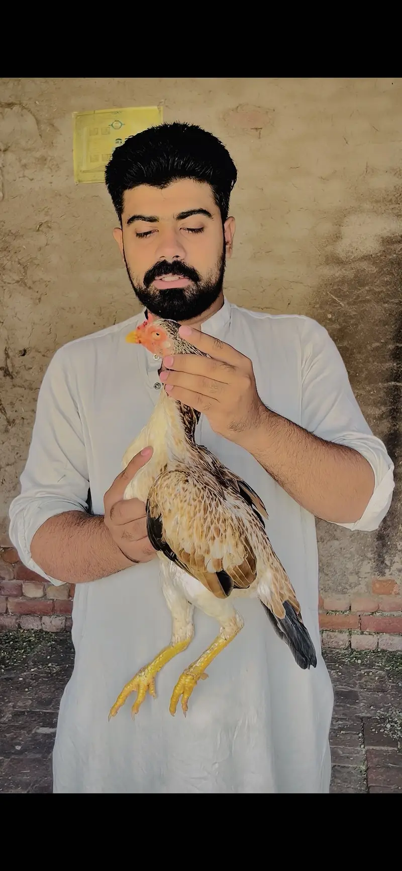 Choras nalio mein jawi madi — photo 2