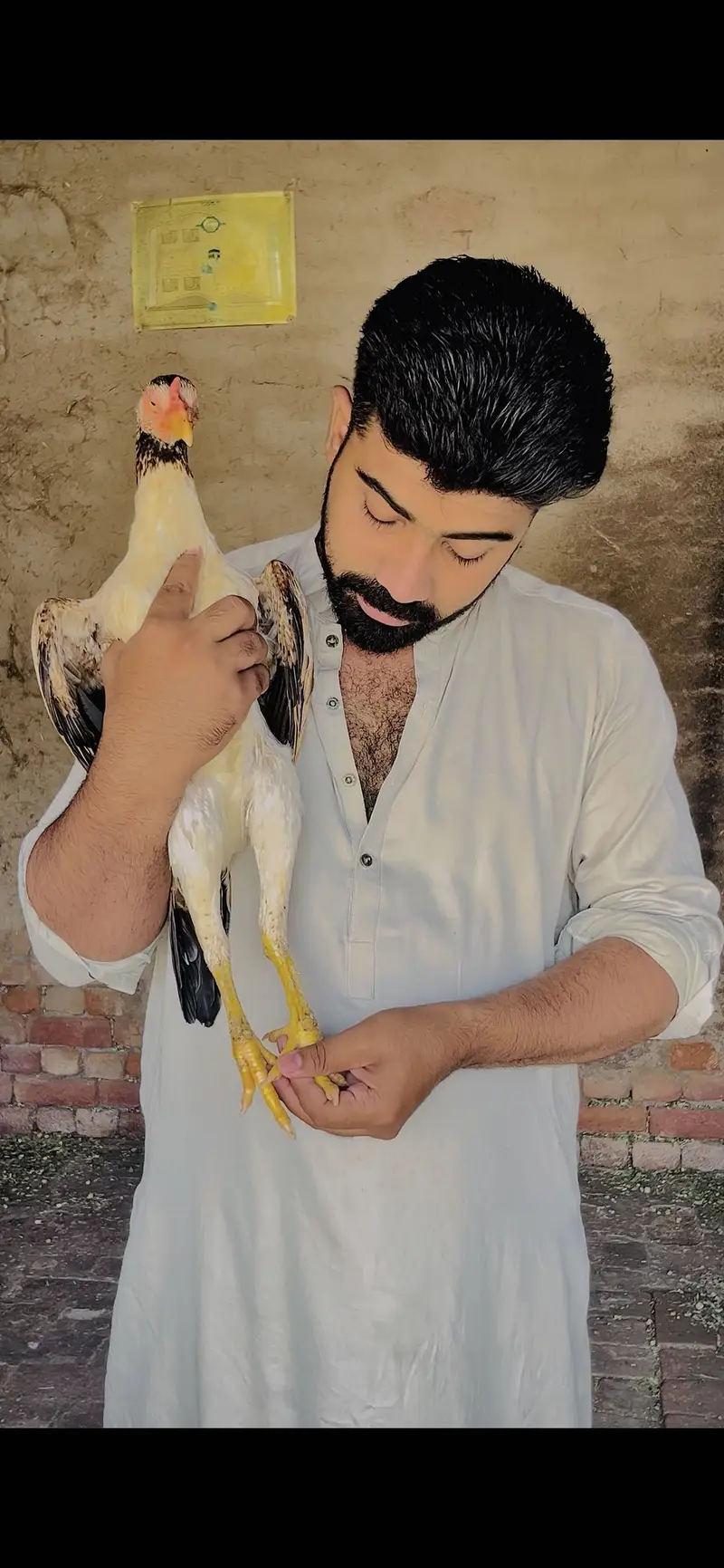 Choras nalio mein jawi madi — photo 3