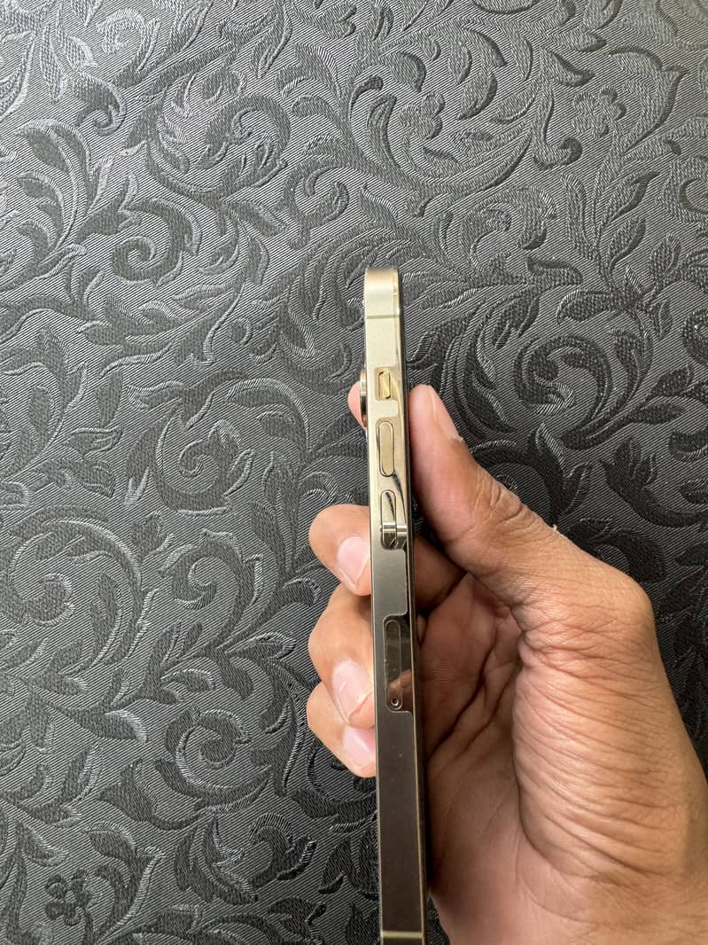 Apple iPhone 14 Pro 2