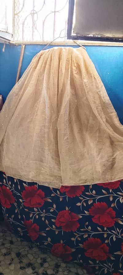 beautiful lenga party wear