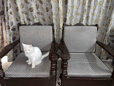 Wooden Sofa Set