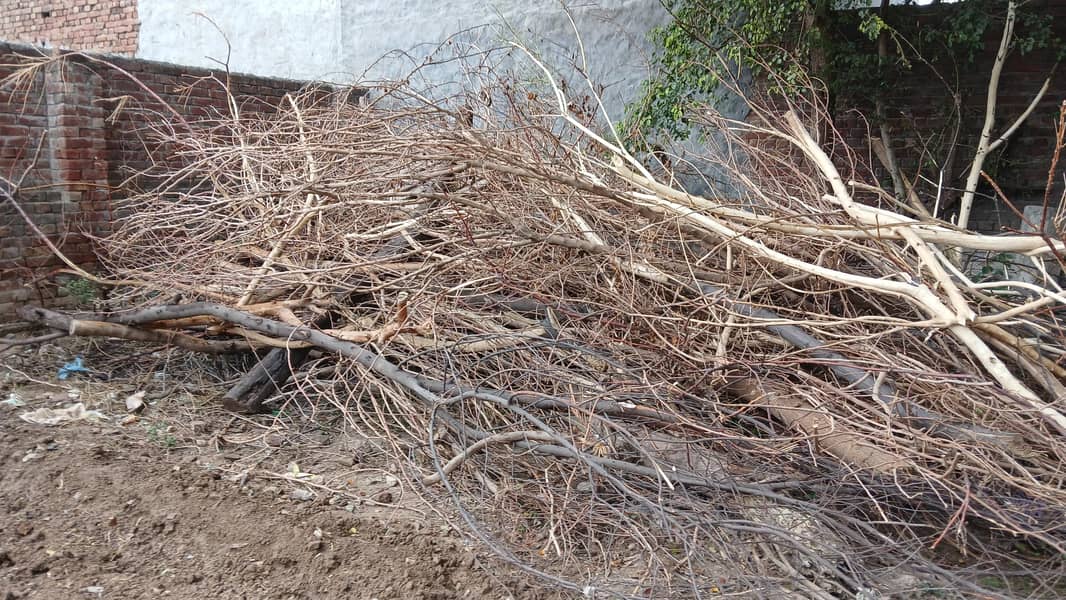 Firewood 2