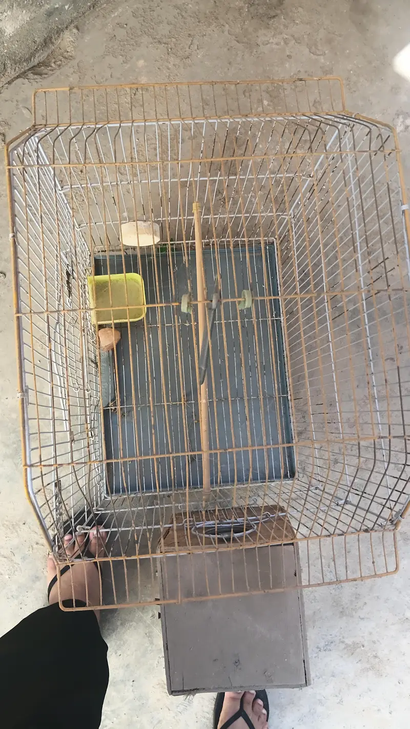 Parrot Cage With Box — photo 2