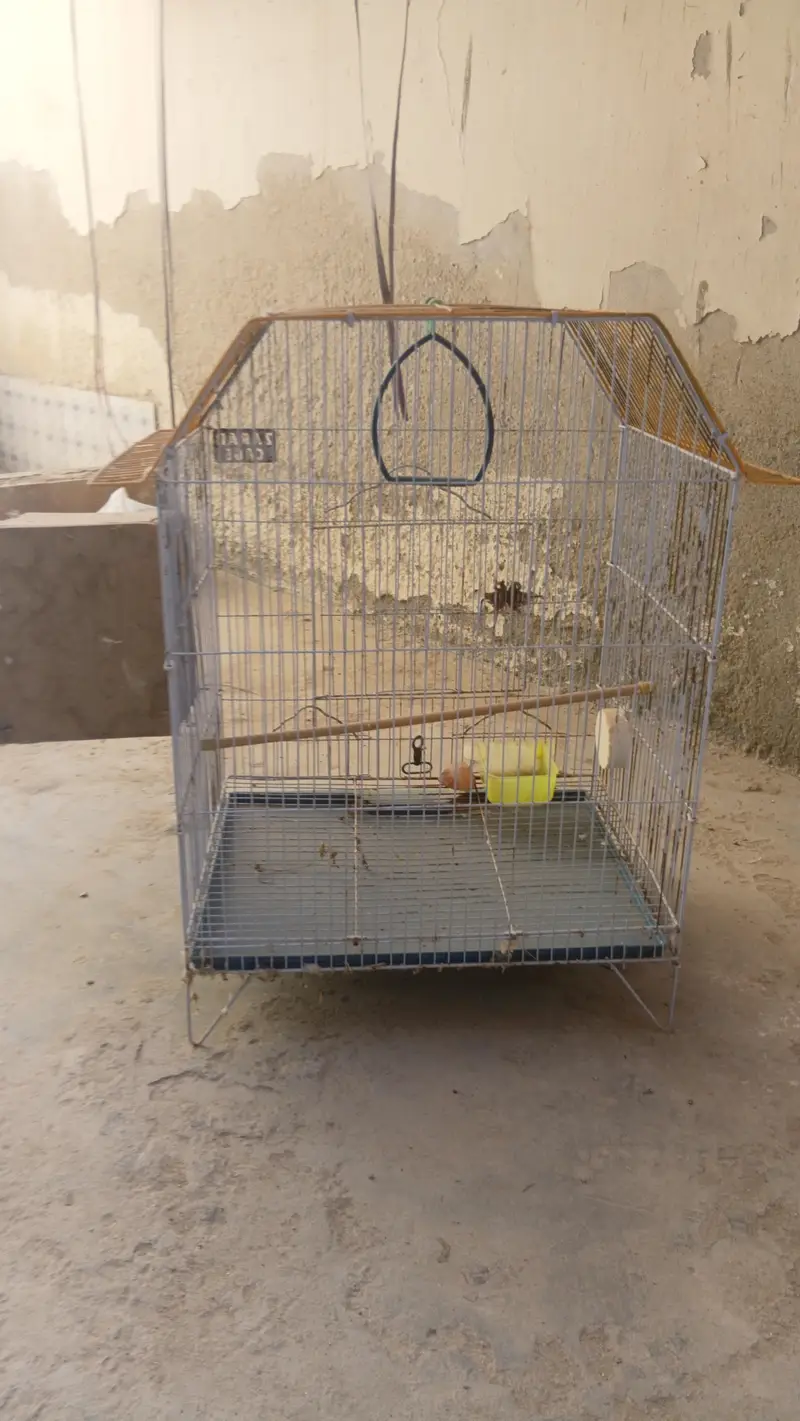 Parrot Cage With Box — photo 3